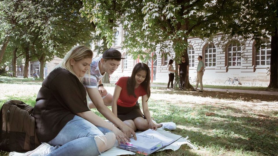 Studierende im Park