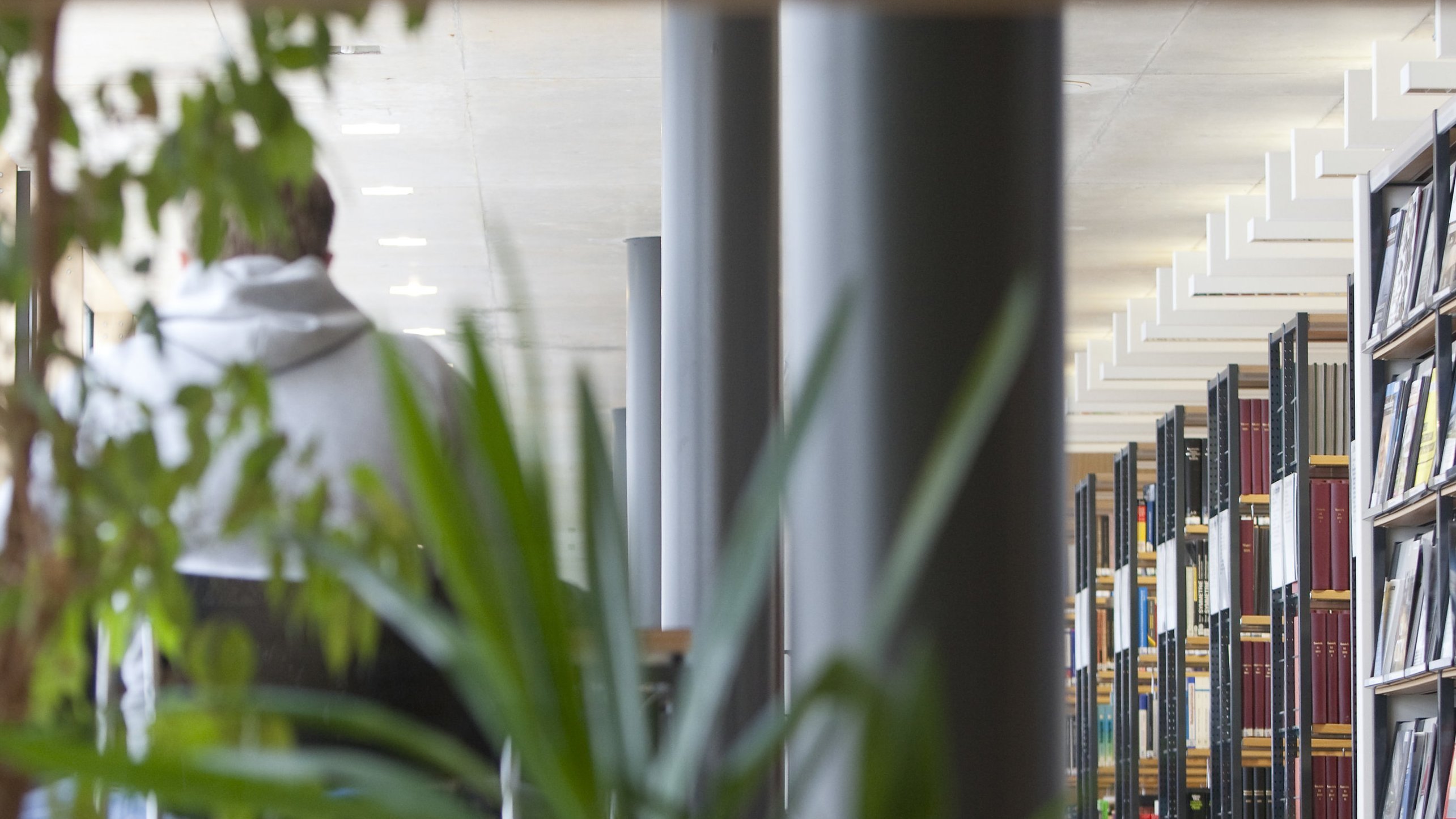 Bücherregale und Pflanzen in der Bibliothek