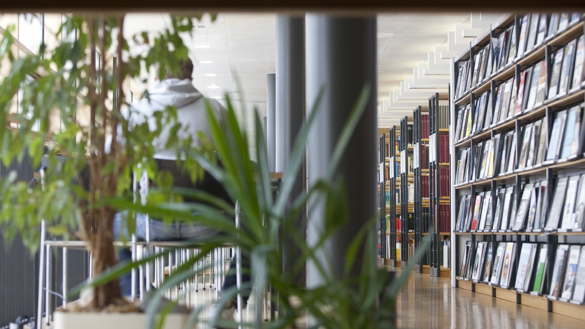 Bücherregale und Pflanzen in der Bibliothek