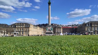 Grashalme Schlossplatz