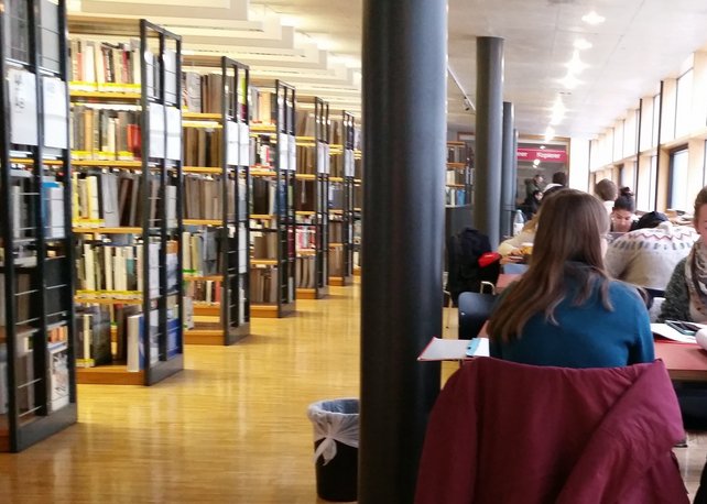 Studierende sitzen in der Bibliothek und lernen