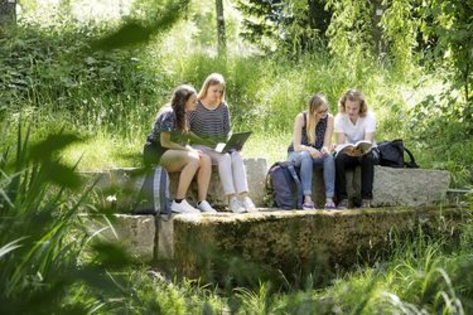 Eine Gruppe junger Frauen sitzt in der Natur und lernt