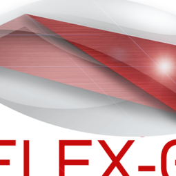 Flex-G Projektlogo