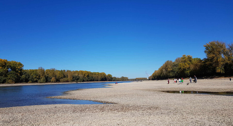 Rheintal bei Trockenwasser © Günter Wendel