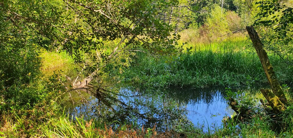 Råslätt &ndash; mit viel Grün.