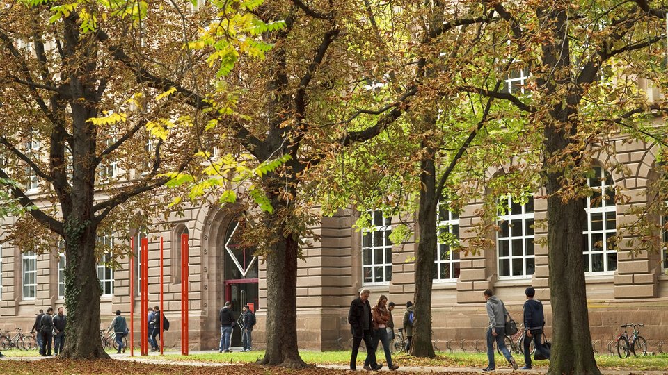 Ansicht Bau 1 vom Stadtpark