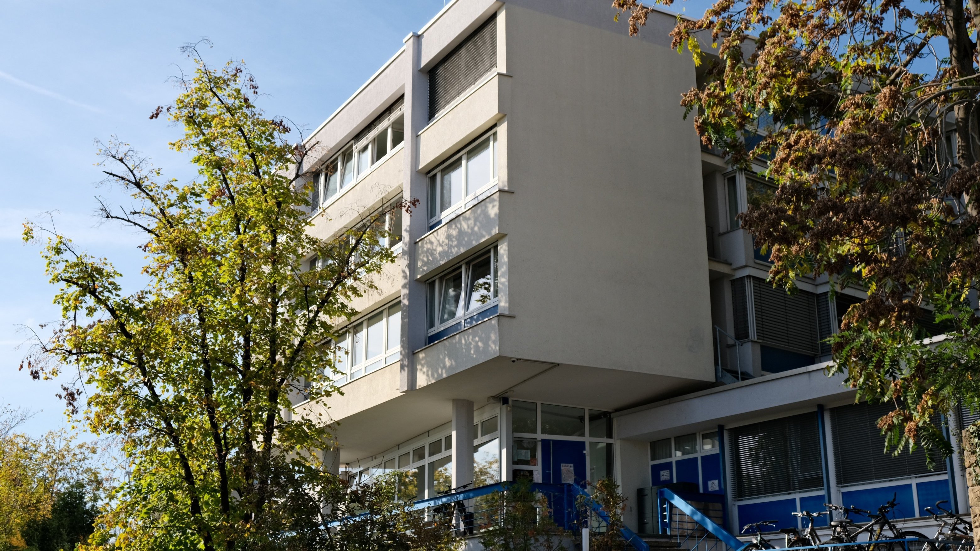 Ein großes Haus mit einem Baum davor.