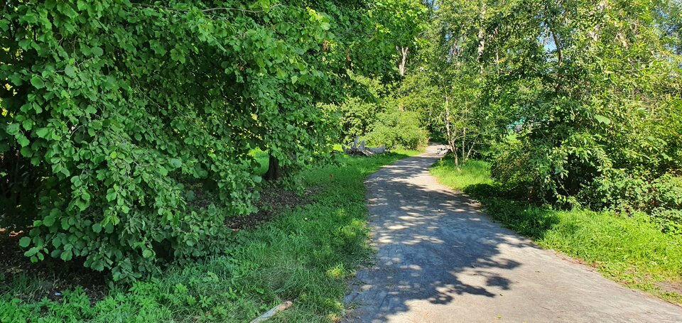 Park in Råslätt.