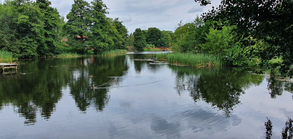 See in der Nähe von Jönköping.