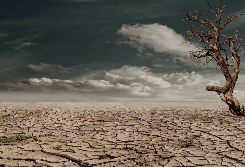 Drought | Pexels