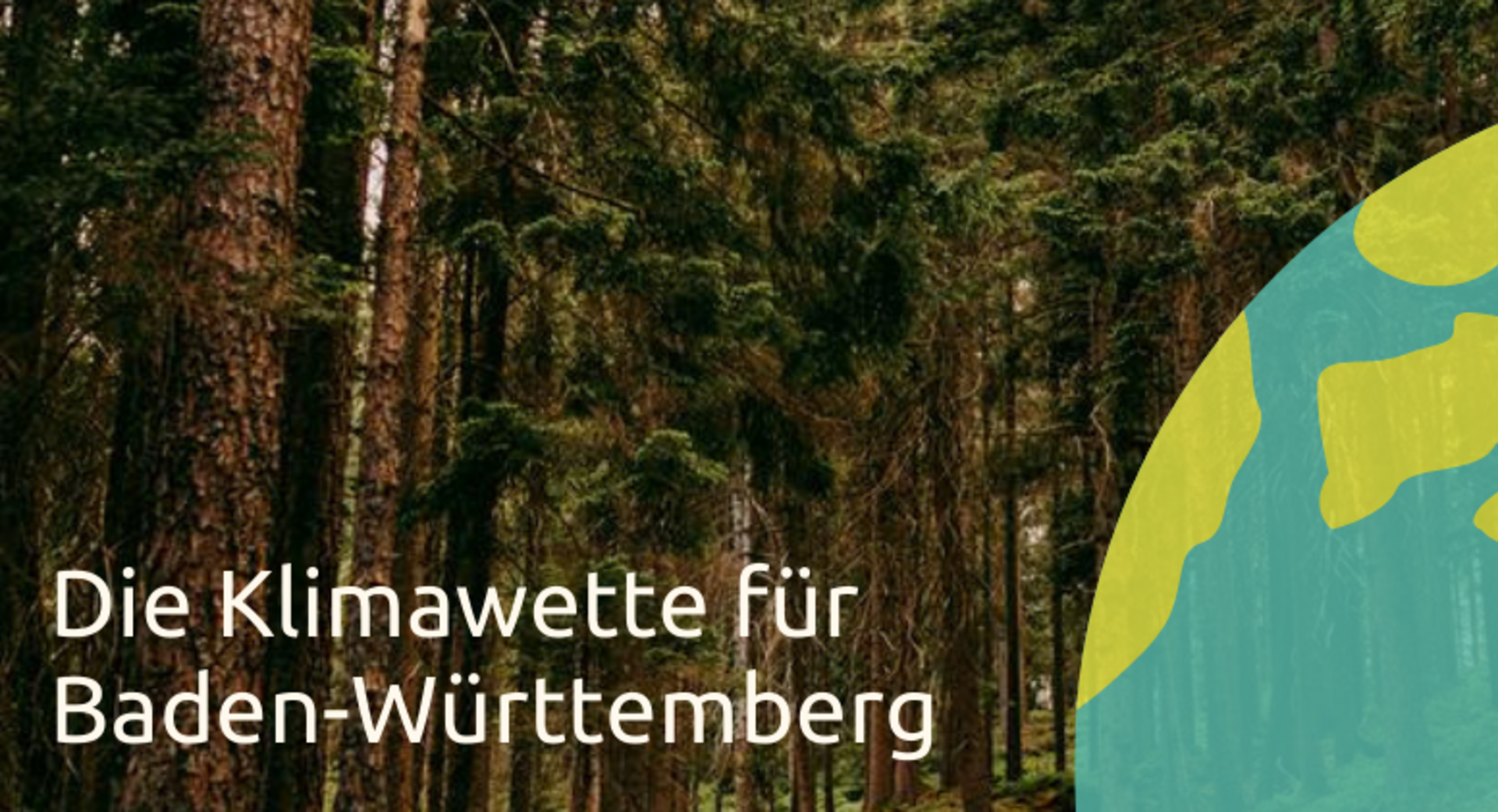 Banner zur Klimawette - Blick in einen Wald