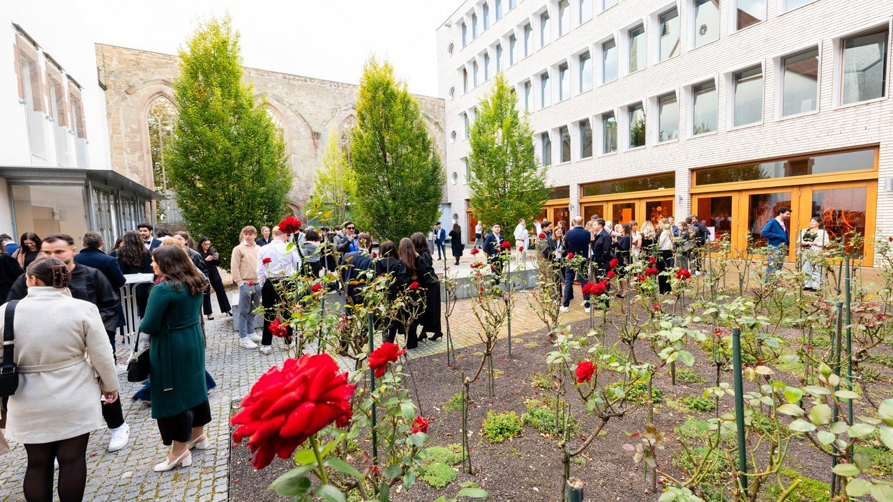 Garten mit Rosen im Hospitalhof