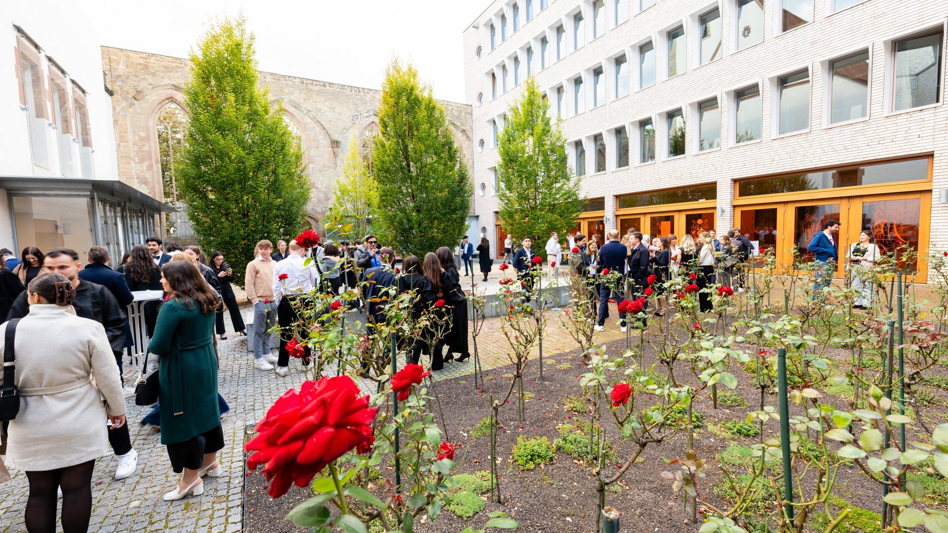 Garten mit Rosen im Hospitalhof