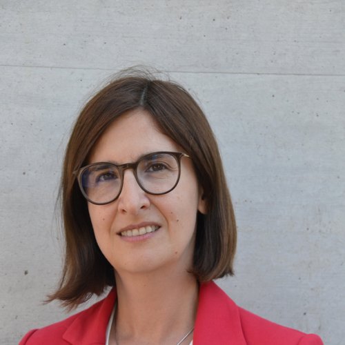 Prof. Dr.-Ing. Leyla Chakar