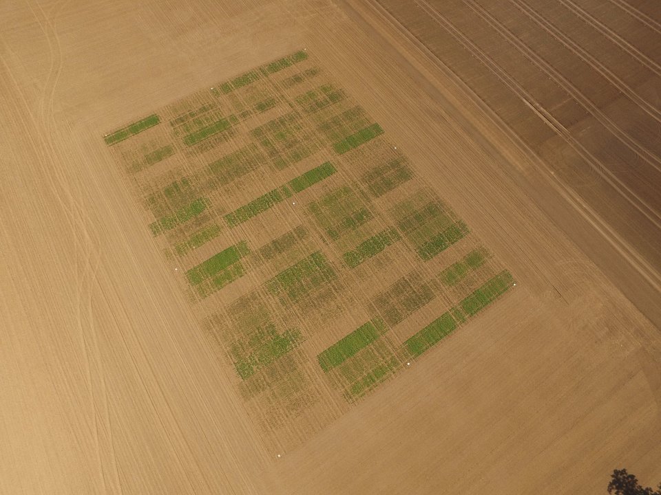 Landwirtschaftliche Testflächen von der Vermessungsdrohne aus fotografiert