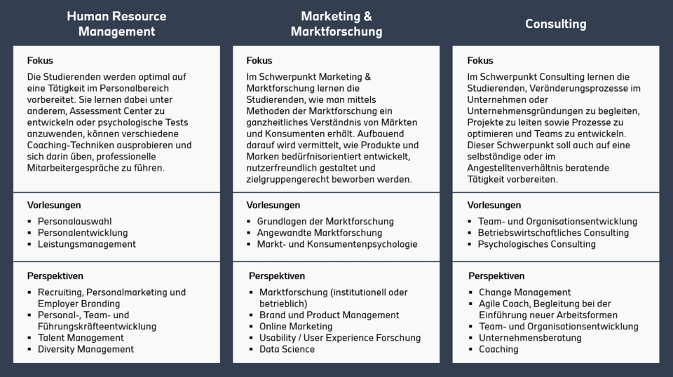 Auf der Grafik sind die drei Schwerpunkte des Studiengangs Consulting, Human Resources und Marketing-Marktforschung zu sehen und Informationen zu ihrem Fokus, Beispielvorlesungen sowie berufliche Perspektiven abgebildet.
