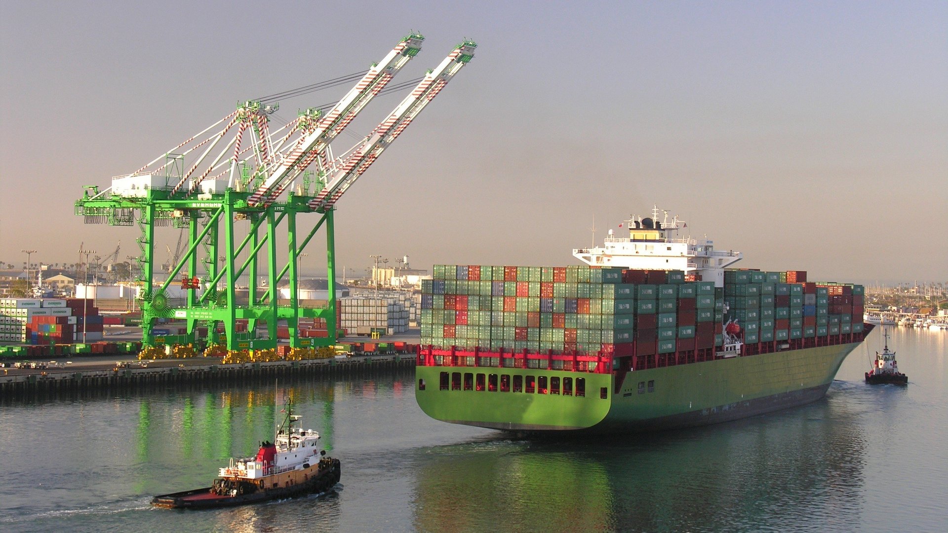 Einfahrt eines Containerschiffs in einen Hafen. Im Hintergrund stehen Kräne