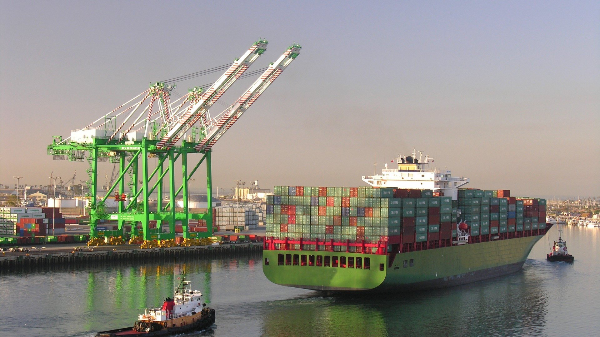 Einfahrt eines Containerschiffs in einen Hafen. Im Hintergrund stehen Kräne