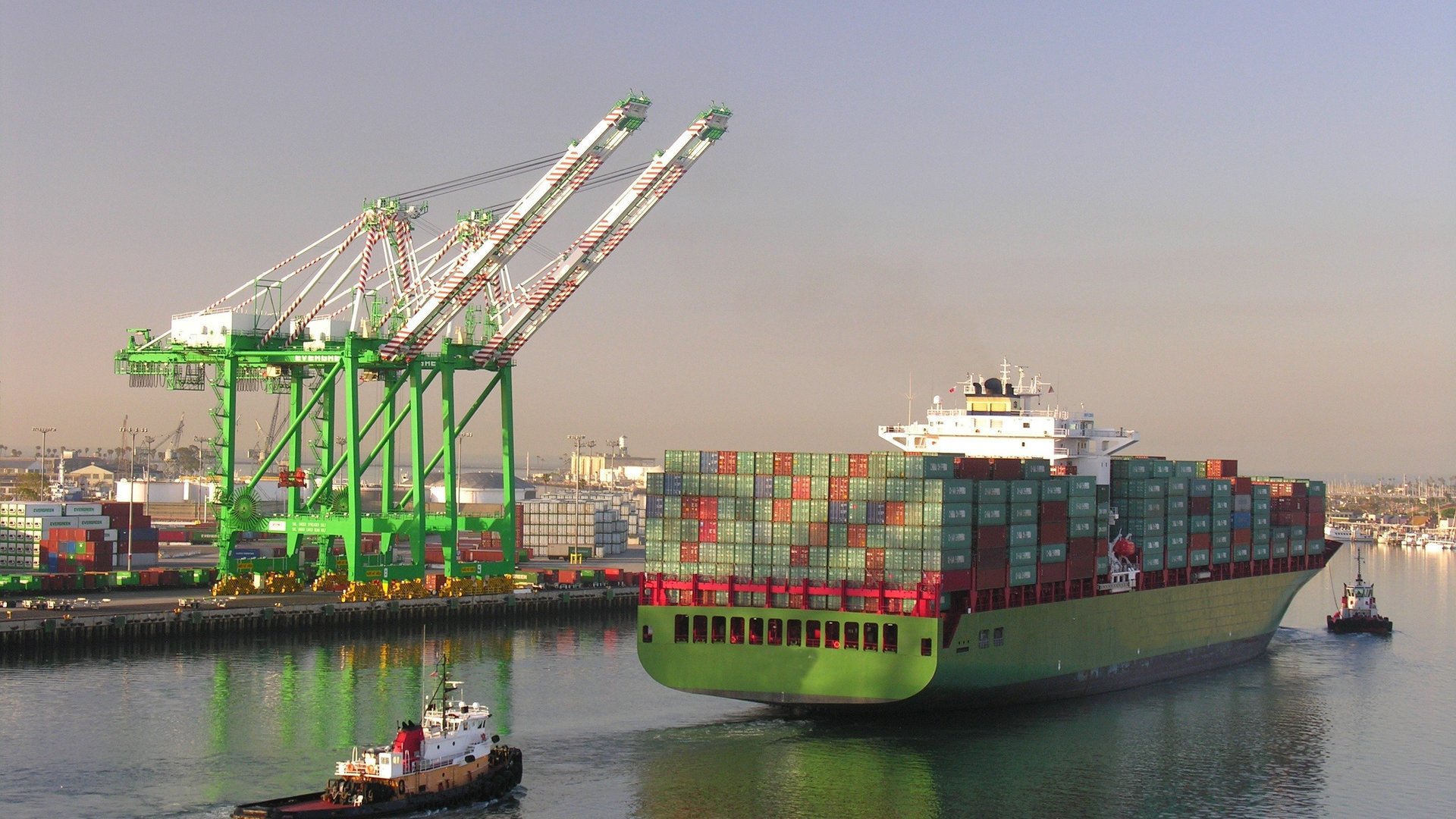 Einfahrt eines Containerschiffs in einen Hafen. Im Hintergrund stehen Kräne